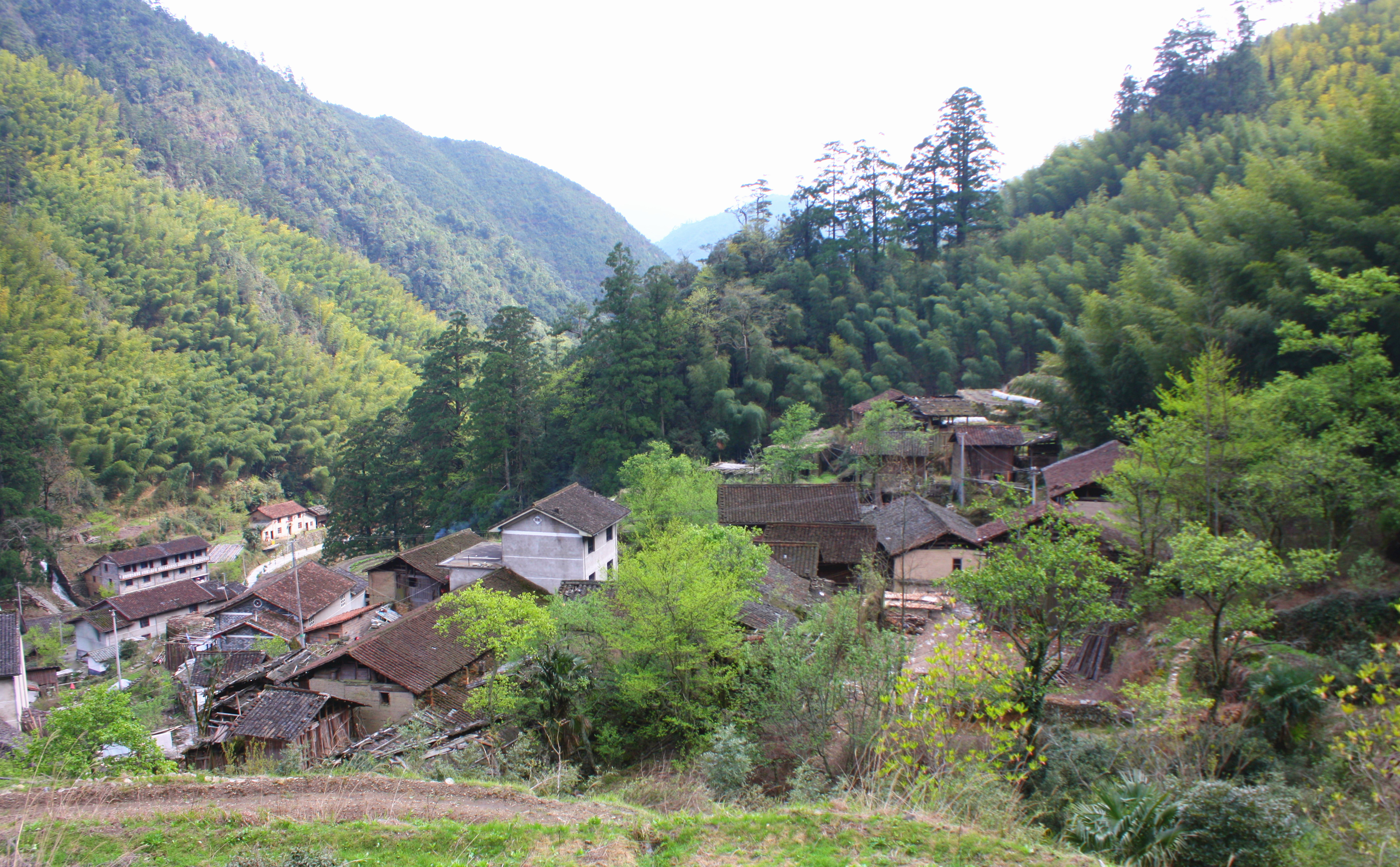 麻连岱