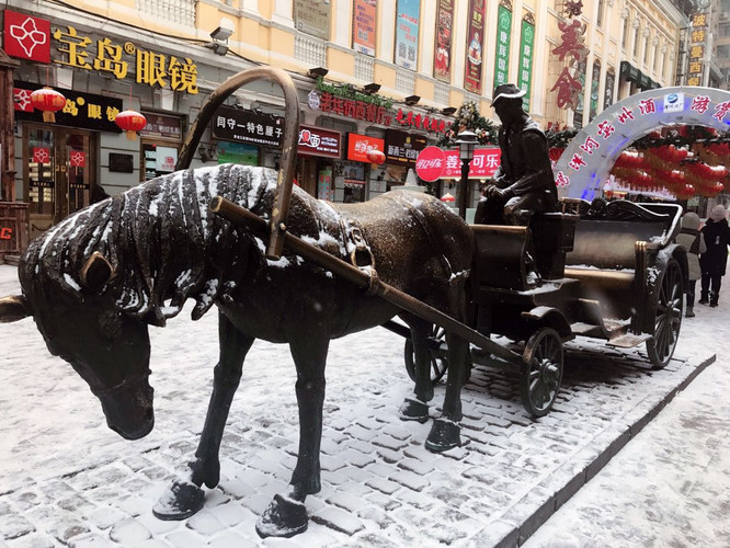 2017.01.10 哈尔滨两天一夜-独自踏雪 - 哈尔滨