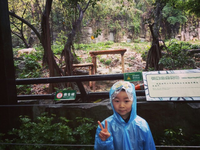 嘎仔成长记录旅行篇之广州长隆