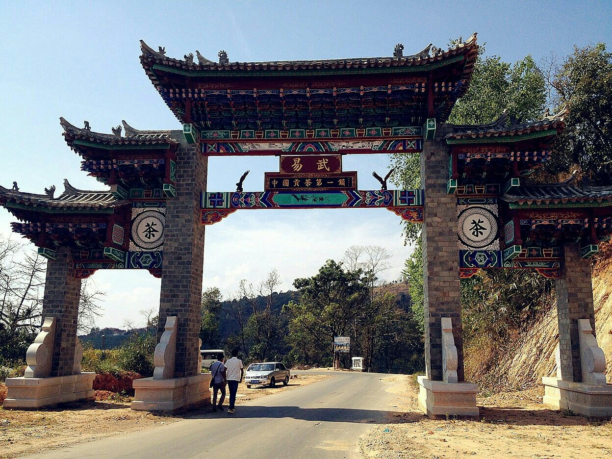 易武古茶山
