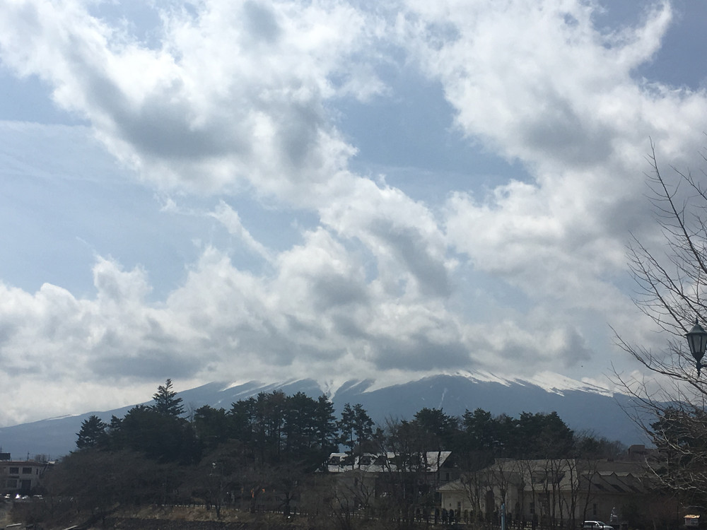 醉在东一你 富士山下 伊豆海前 享不尽的荣华富贵 伊豆游记攻略 携程攻略 醉在东一你 富士山下 伊豆海前 享不尽的荣华富贵 伊豆游记攻略 携程攻略