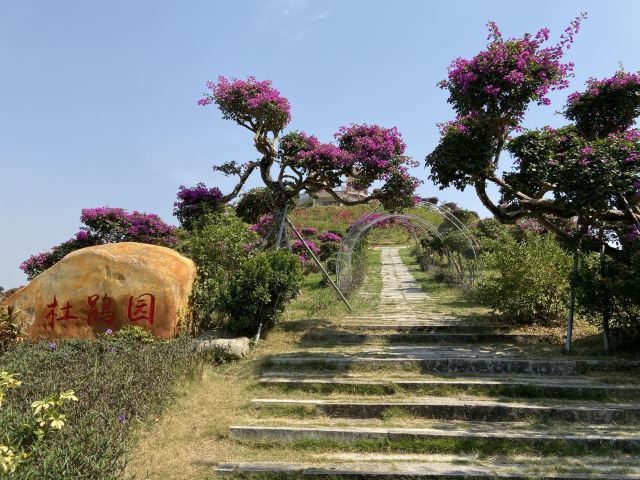 广垦(茂名)国家热带农业公园