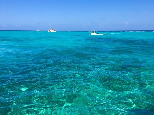 大开曼群岛dolphin cove