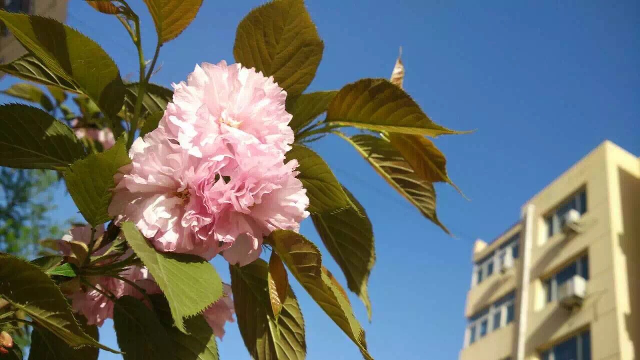 江东公园
