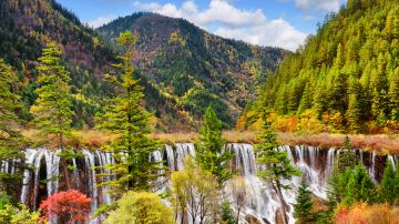 shutterstock_482376061