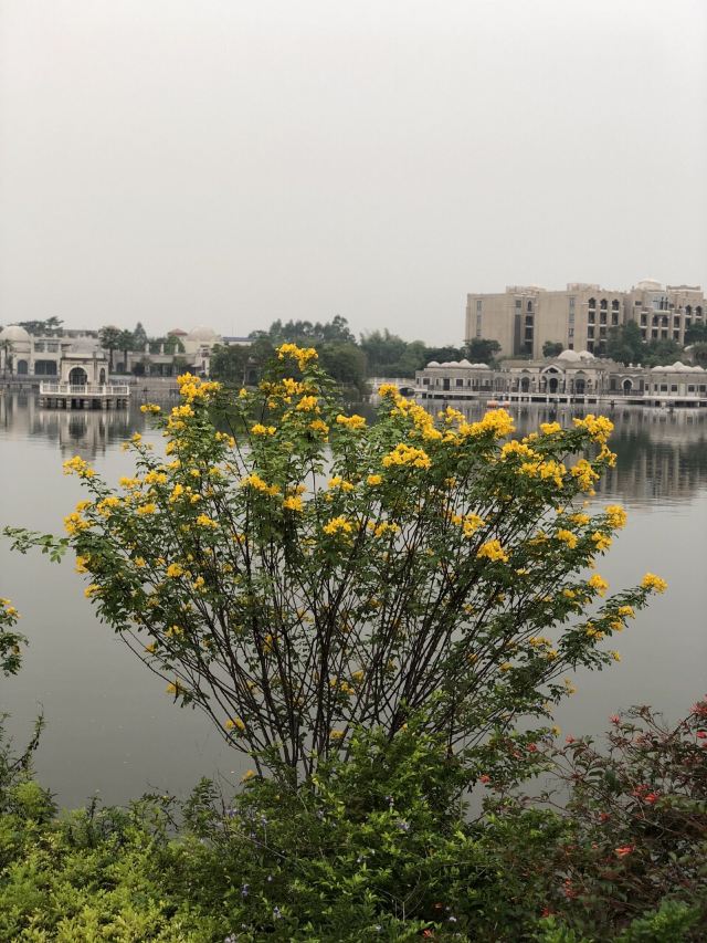 狮子湖休闲旅游区