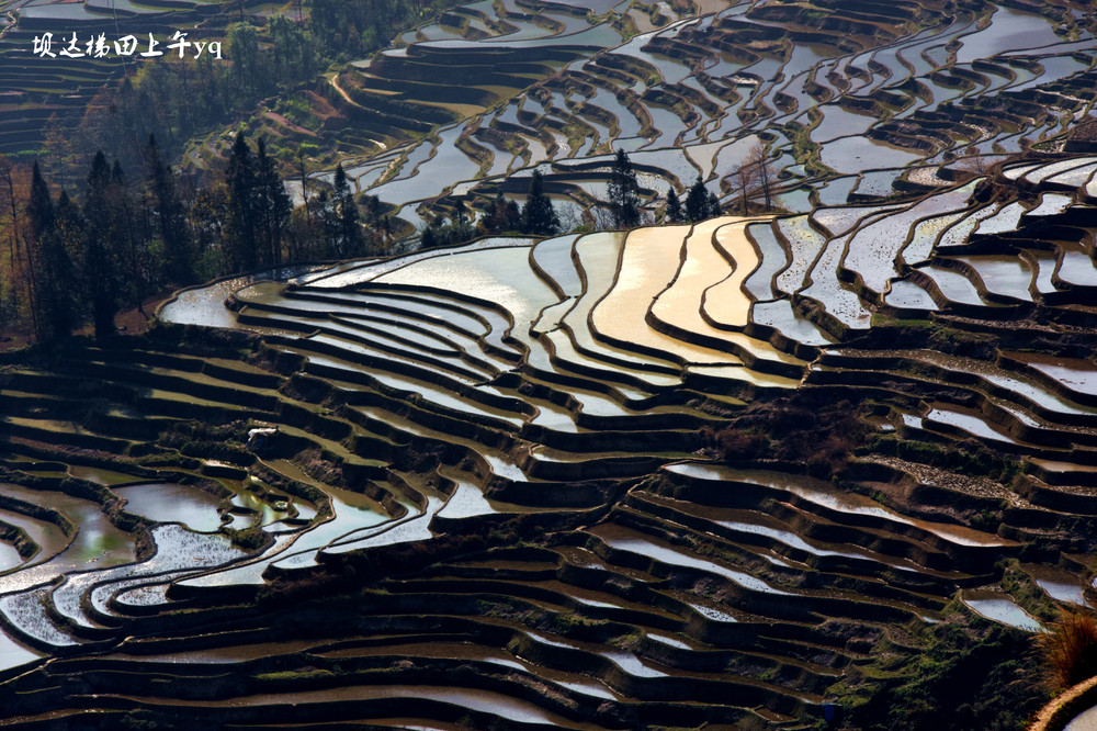 去雲南元陽看哈尼梯田,順道看昆明滇池紅嘴鷗,建水古城.