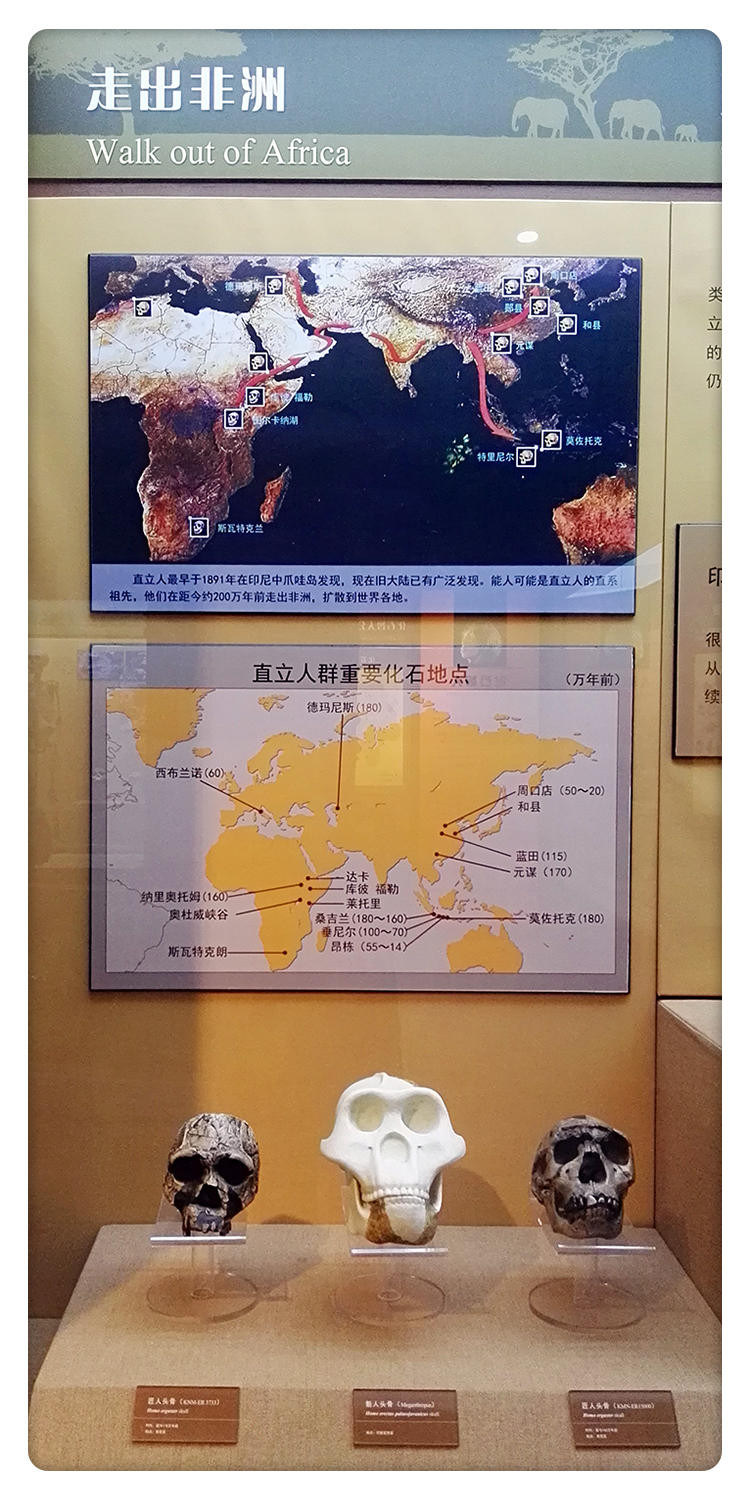 最早人类回眸 自然博物馆 国博 北京游记攻略 携程攻略