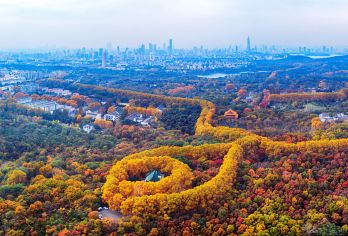 南京总统府+中山陵+博物院+报恩寺+夫子庙一日活动【高性价比】【一车到底，行李可寄存在车上】