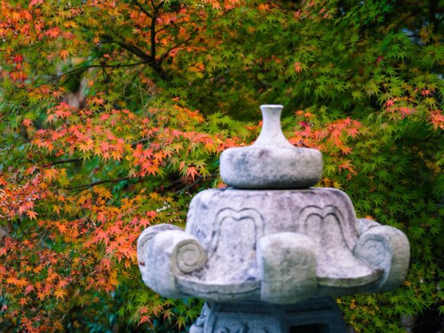 大子町永源寺攻略 大子町永源寺门票 游玩攻略 地址 图片 门票价格 携程攻略 大子町永源寺攻略 大子町永源寺门票 游玩攻略 地址 图片 门票价格 携程攻略