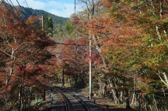 睿山电车红叶隧道