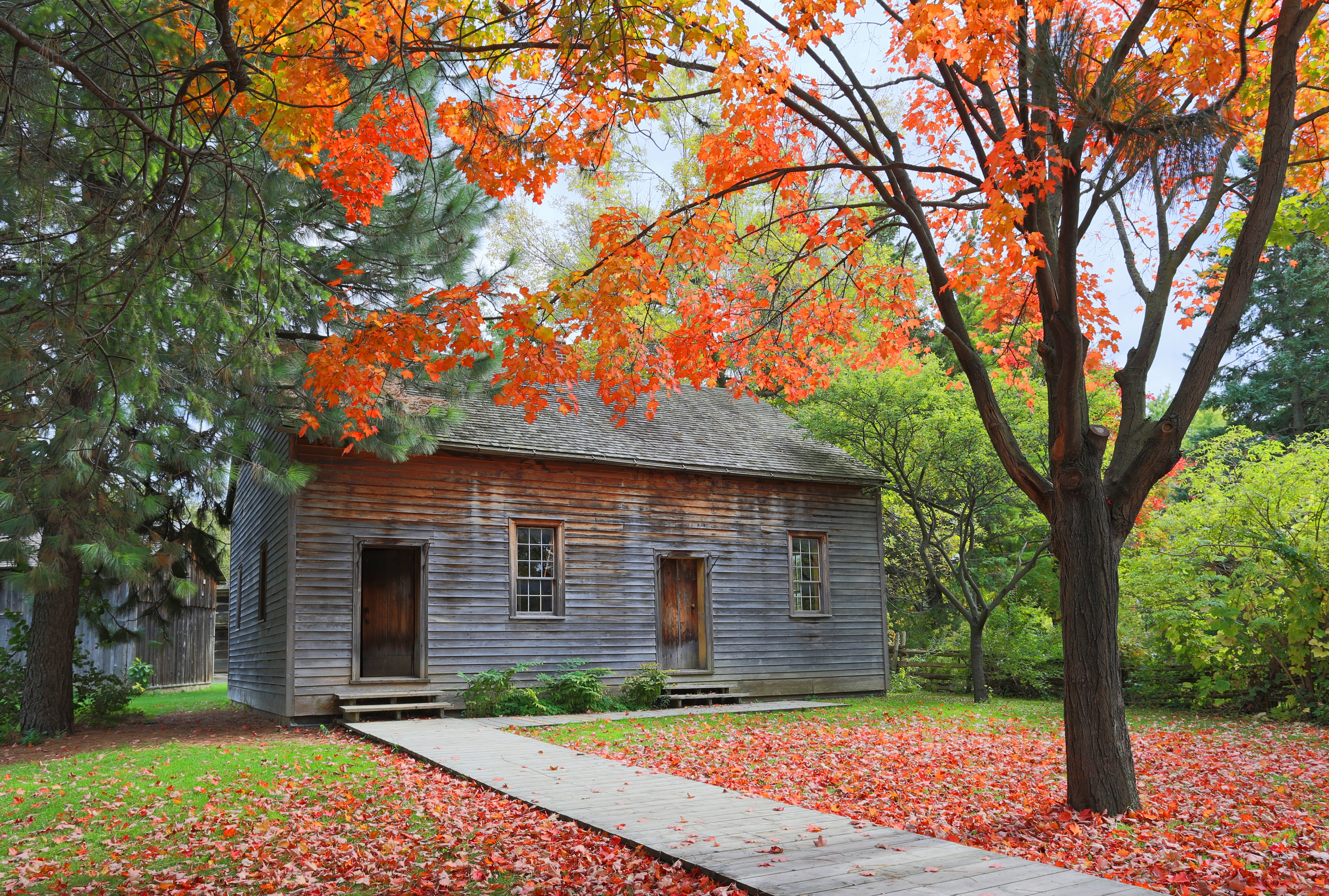 是天马旅行社负责的,,加拿大多伦多+渥太华+蒙