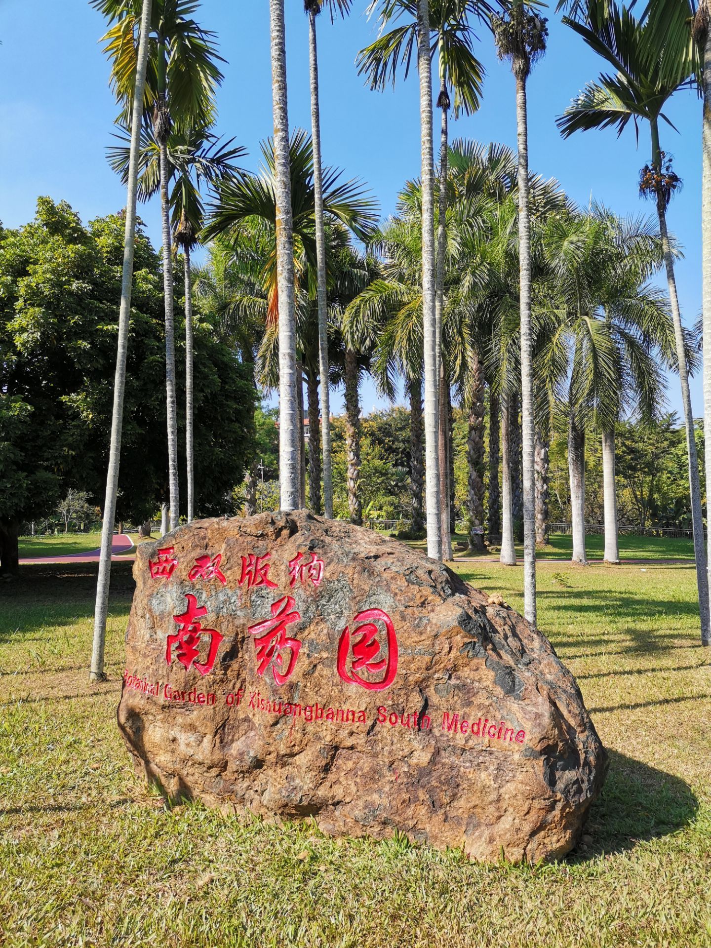 西双版纳南药园景区