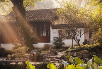 狮子林+寒山寺+山塘街一日游【纯玩无购物  杭州出发】【此产品天天发班，一人也成团，随心出游】