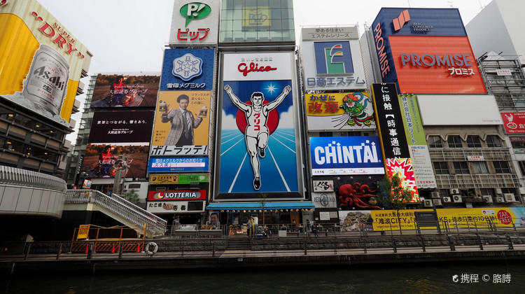 日本东京 富士山 京都 大阪8日7晚半自助游 4钻 4 5钻酒店自选 新干线游本州x 箱根泉旅馆1泊2 食 地道和风料理奈良鹿伏见稻荷大社富士山醉美摄影点宿市区核心商圈