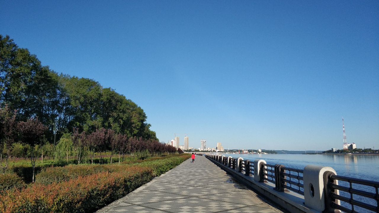 大岛植物园