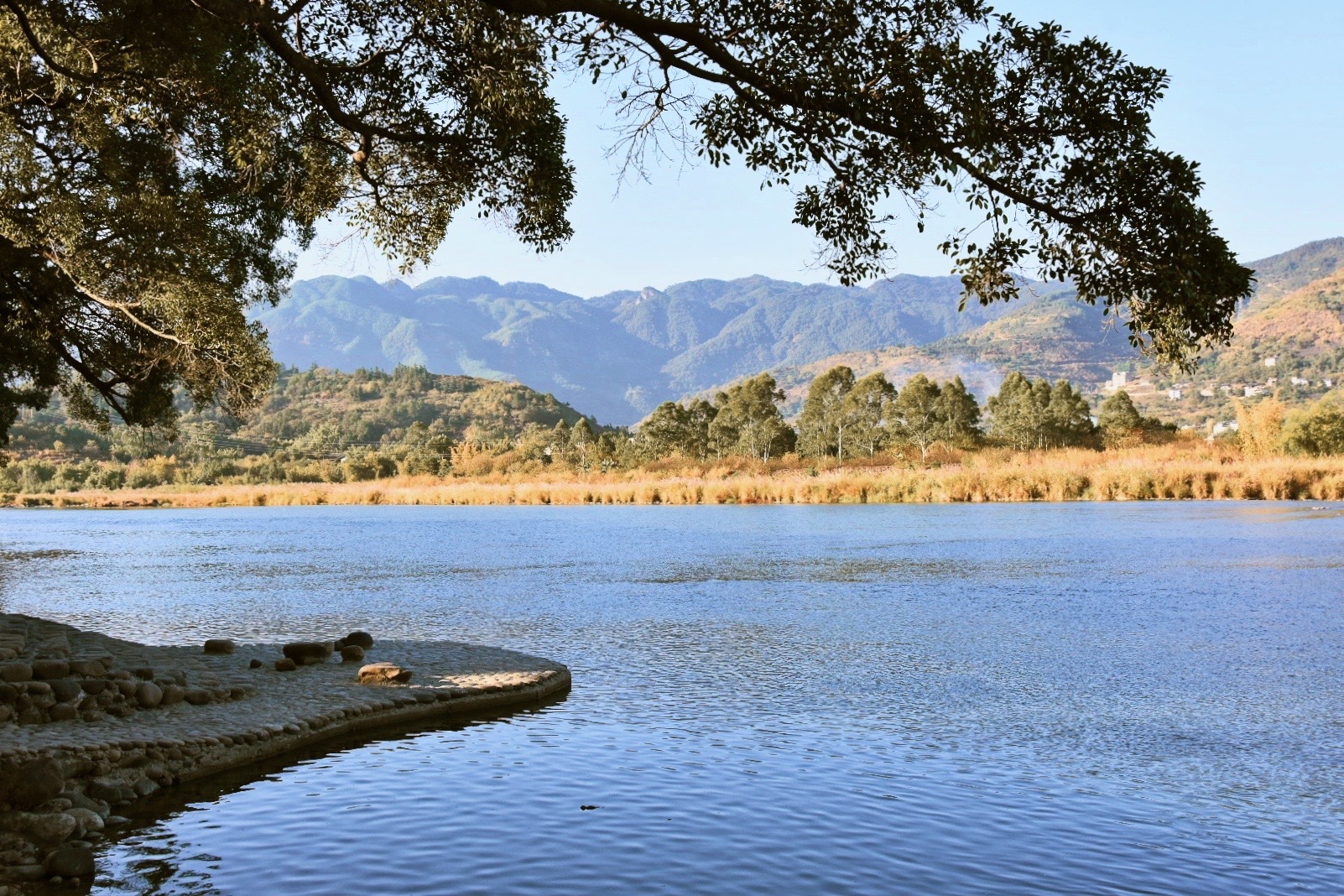 大樟溪