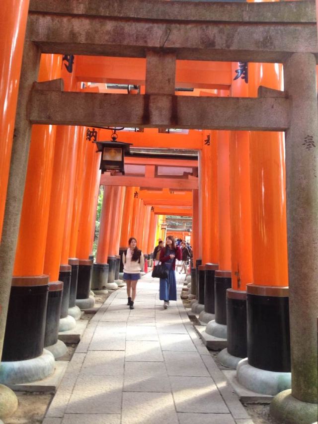 京都千本鳥居攻略,京都千本鳥居門票/遊玩攻略/地址/圖片/門票價格