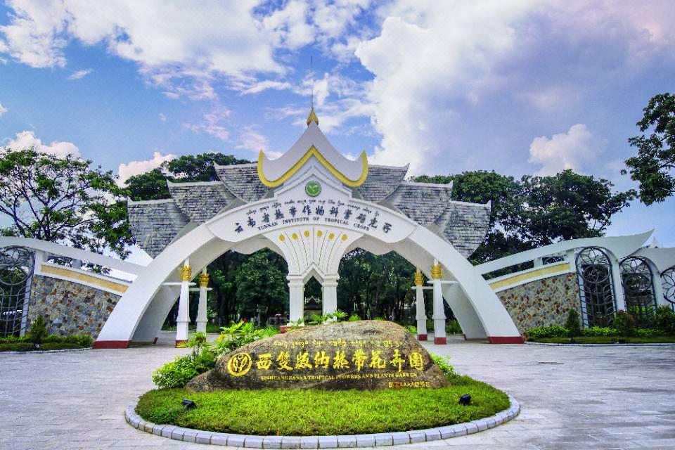热带花卉园