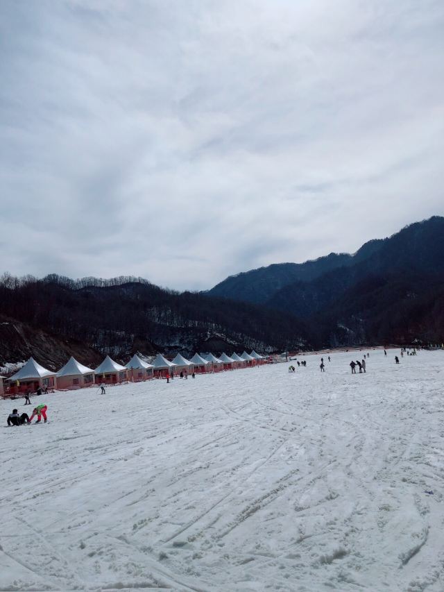 老界岭滑雪场照片图片