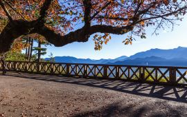阿里山乡祝山观日平台天气预报 历史气温 旅游指数 祝山观日平台一周天气预报 携程攻略