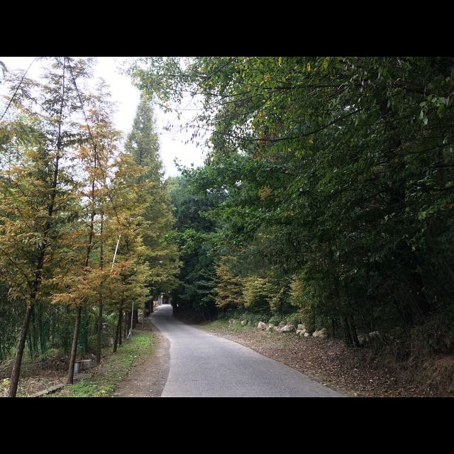 西天目清凉山庄