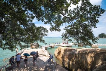 厦门鼓浪屿船票+集美学村+港仔后沙滩15人小团4人起订接送【[ 小团]甄选小团，探秘鼓浪屿，学习嘉庚文化；】