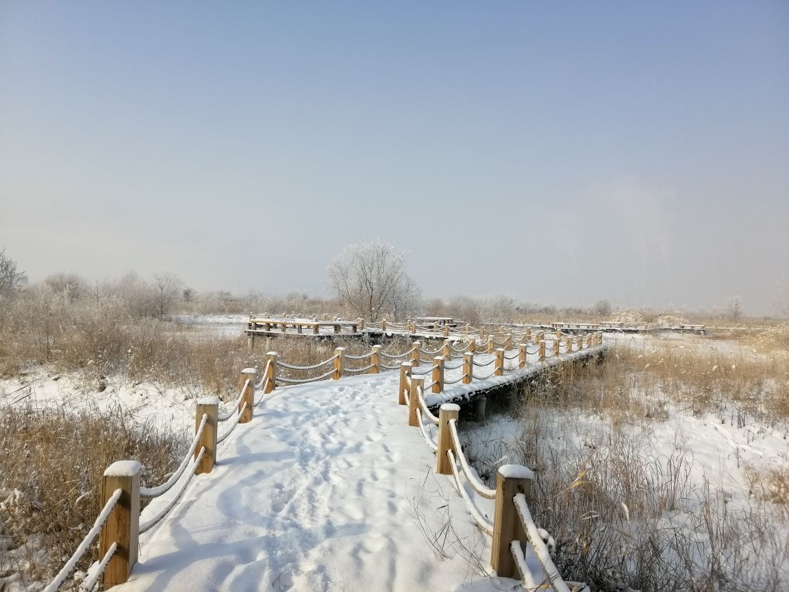 凤鸣湖生态园