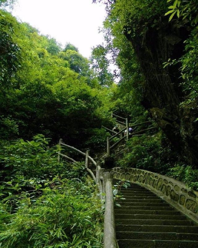 峨眉山九十九道拐攻略,峨眉山九十九道拐门票/游玩攻略/地址/图片