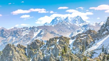 shutterstock_476299642 (1)