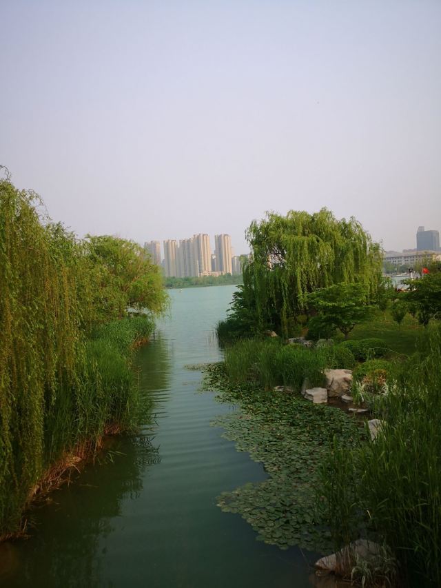 邱县盛水湖公园图片