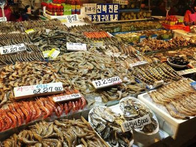 賣魚從零開始自動倉庫發揮最大效益 名昇海產高雄物流中心 第105期 新零售 冷鏈物流 物流技術與戰略雜誌社