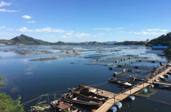 遷西大黑汀水庫攻略,遷西大黑汀水庫門票/遊玩攻略/地址/圖片/門票