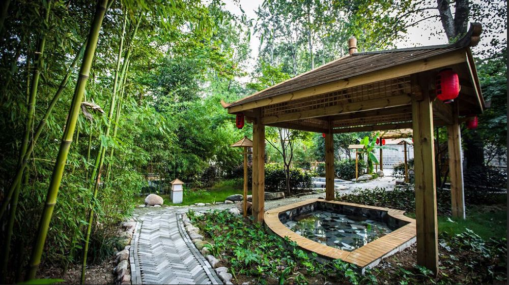 鲁山一日游【鲁山天龙池滑雪 昭平湖森林温泉 冬季温泉滑雪缺一不可】