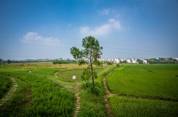 【携程攻略】南京高淳国际慢城旅游度假区交通