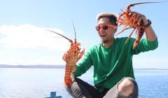 袋鼠岛旅游攻略 4月袋鼠岛 Kangaroo Island 自助游 周边自驾 出游 自由行 游玩攻略 携程攻略