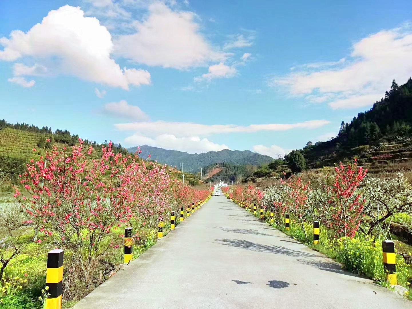 乐昌九峰山