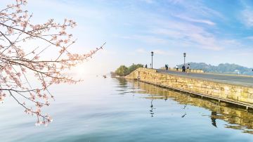 shutterstock_1289526739 - 副本
