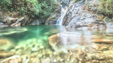 shutterstock_469327688
