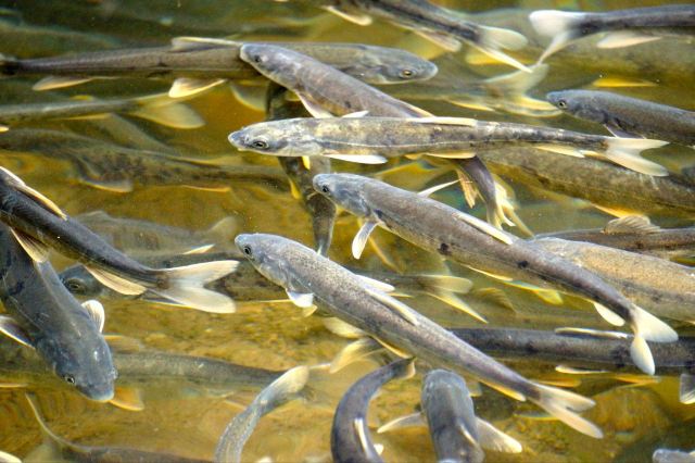 西藏|| 终于见到传说中的你 - 拉萨游记攻略【携程攻略】