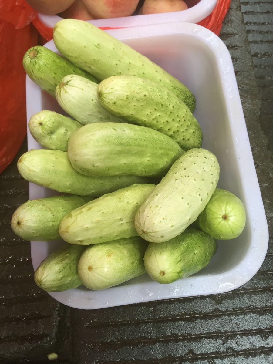 这儿的黄瓜都是短粗款,看相喜人.