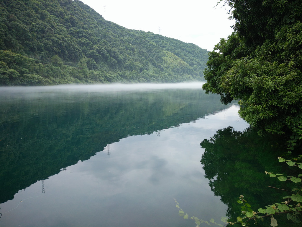 东江湖旅游,观雾观水观花.