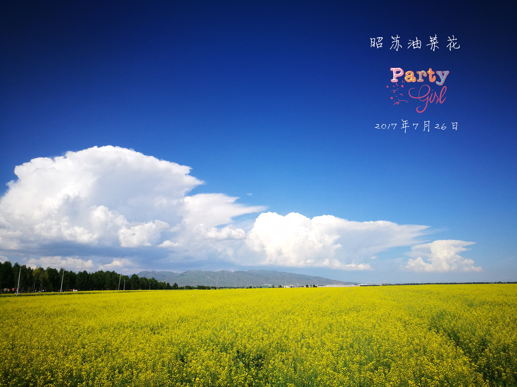 青海有多少人口2017_青海各县人口分布图