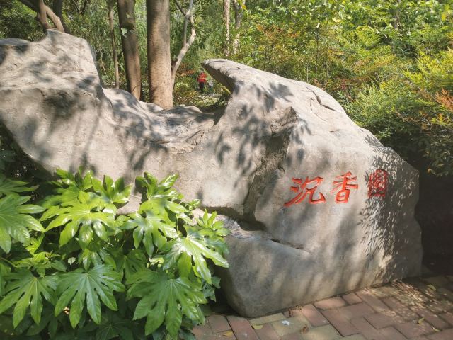 郑州市碧沙岗公园-沉香园