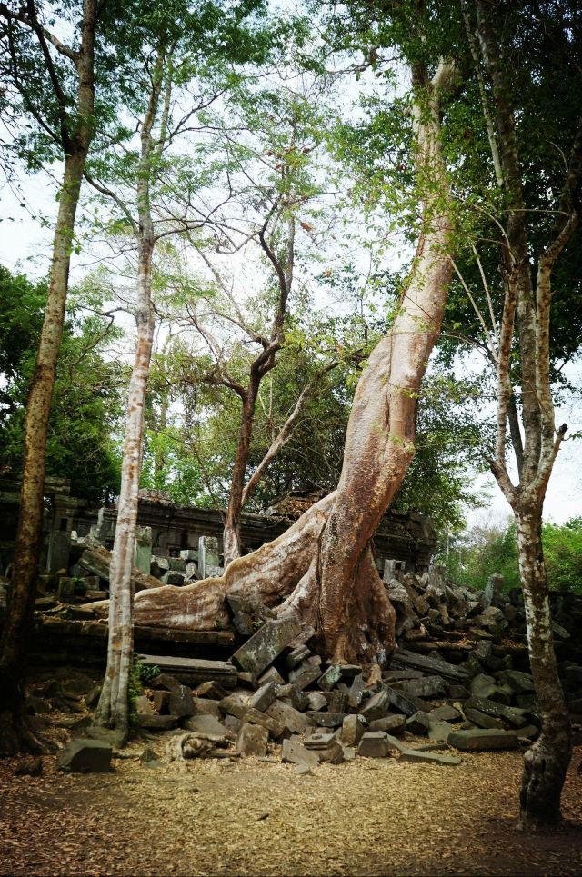 柬埔寨沙龙二刷 - 柬埔寨游记攻略【携程攻略】