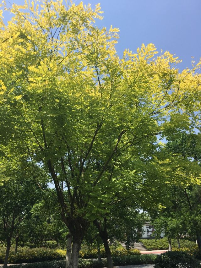 【携程攻略】武汉园博园(自然博物馆)好玩吗,武