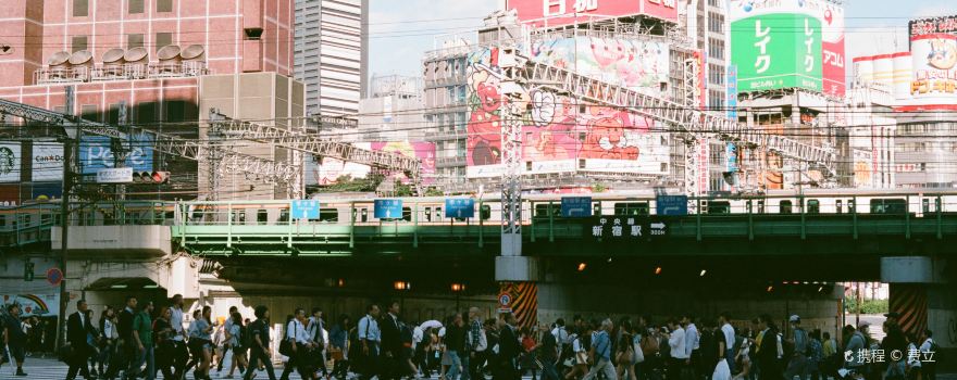 新宿区旅游攻略 4月新宿区 Shinjuku 自助游 周边自驾 出游 自由行 游玩攻略 携程攻略