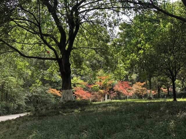 成都沙河公園攻略,成都沙河公園門票/遊玩攻略/地址/圖片/門票價格