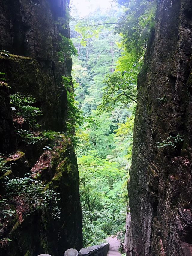 天目山仙人顶攻略,天目山仙人顶门票/游玩攻略/地址/图片/门票价格