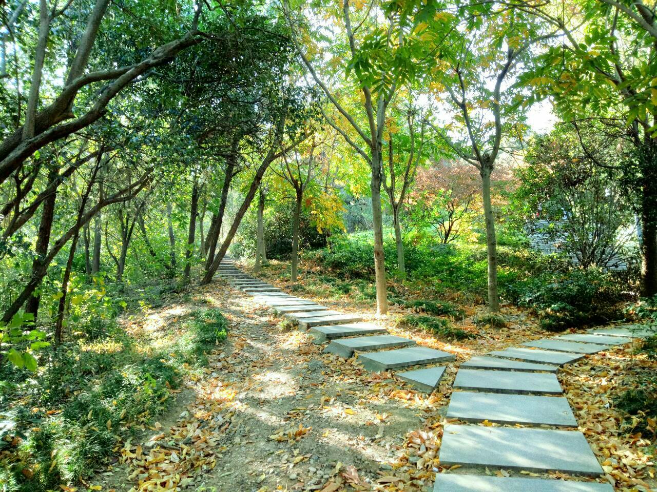 白鹭洲水利风景区